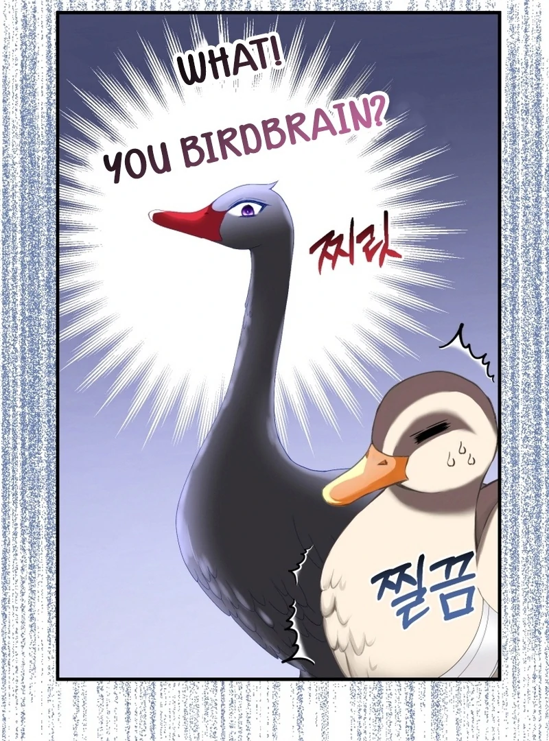 ch 11 86