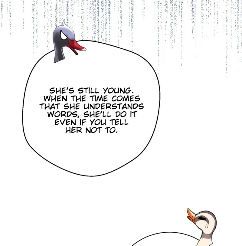ch 11 87