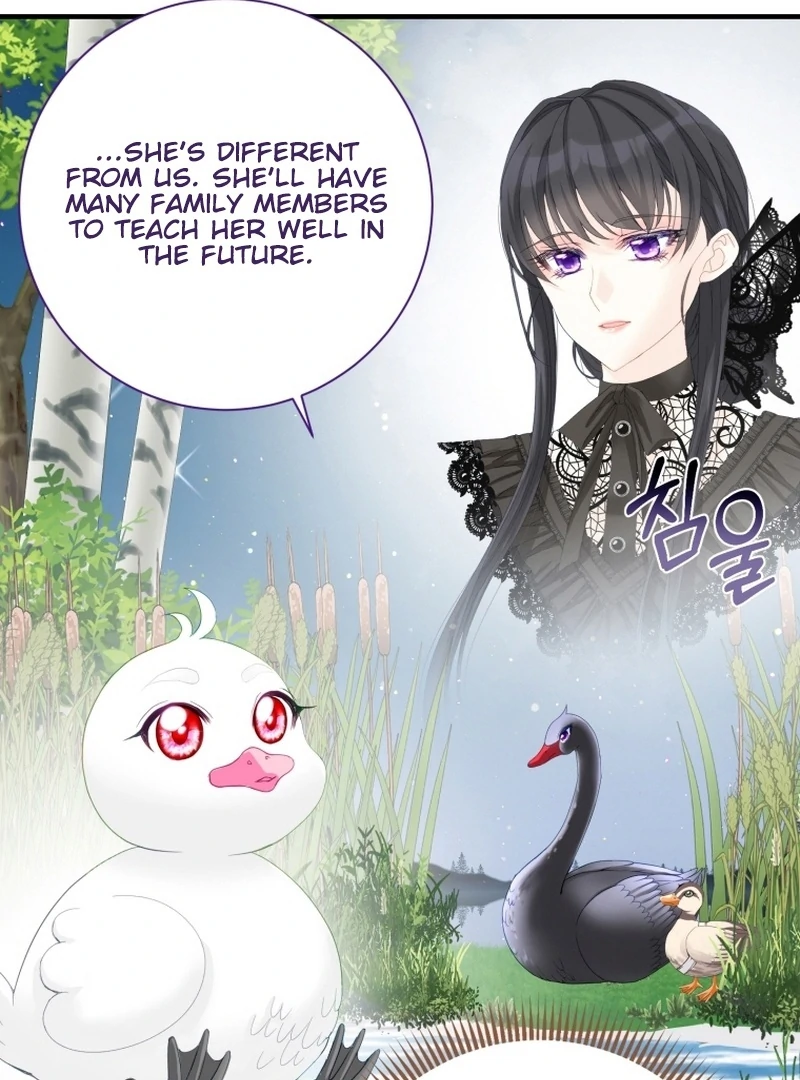 ch 11 89