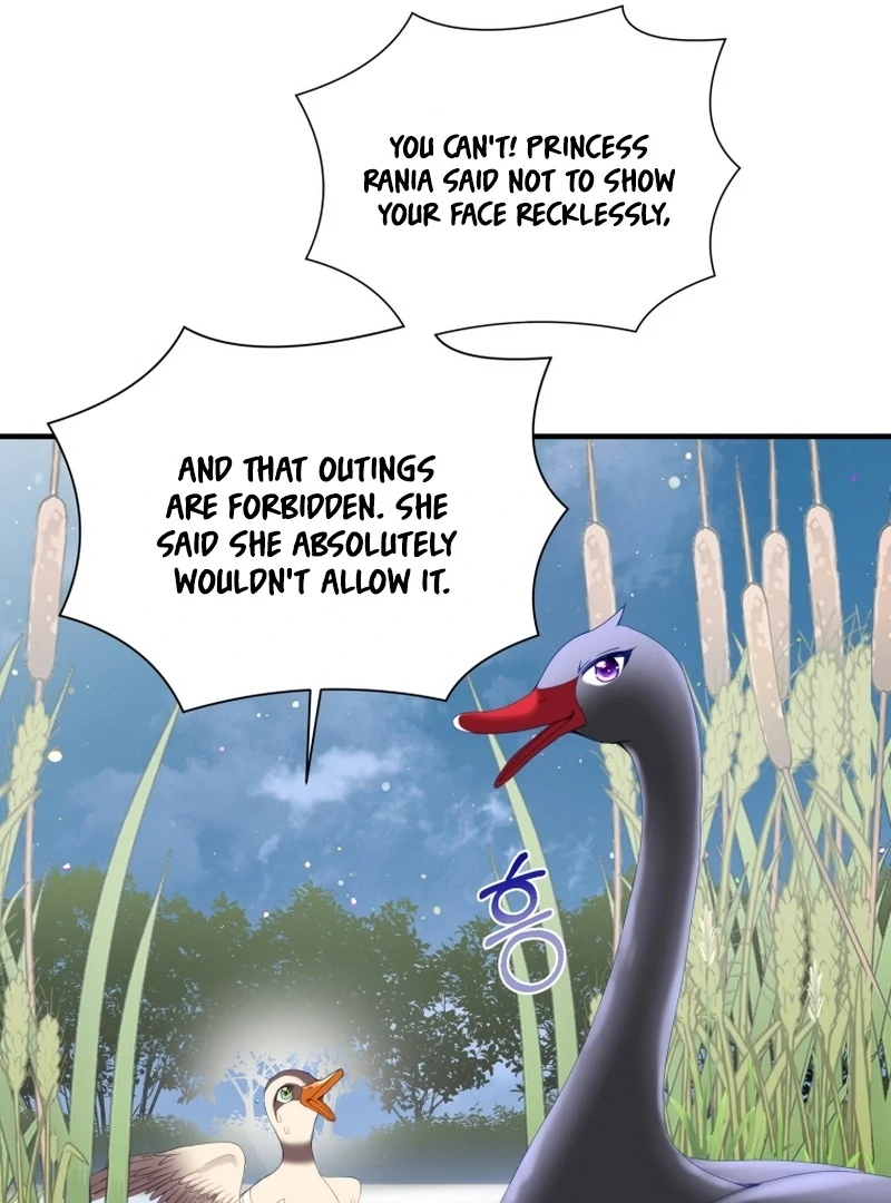 ch 11 95