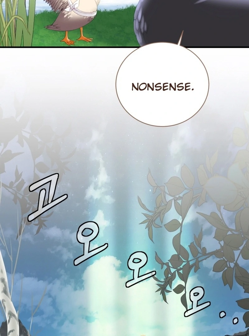 ch 11 96