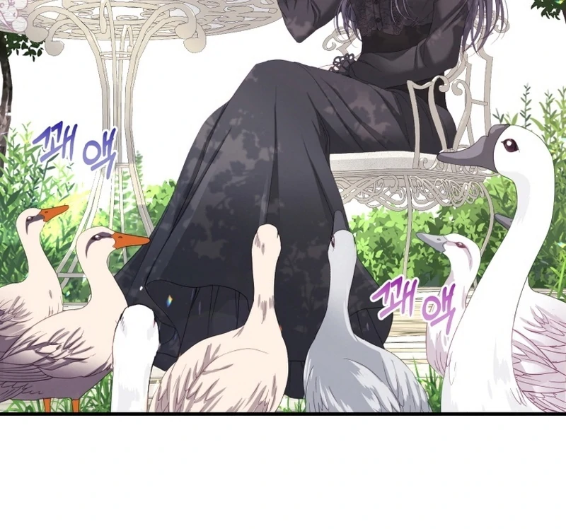 I Became The Black Swan Mother of The White Swan Princess Chapter 12 401 ch 12 22