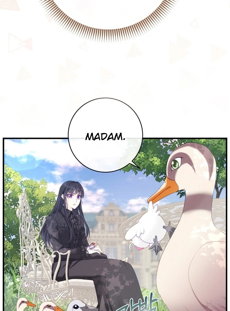 I Became The Black Swan Mother of The White Swan Princess Chapter 12 405 ch 12 26