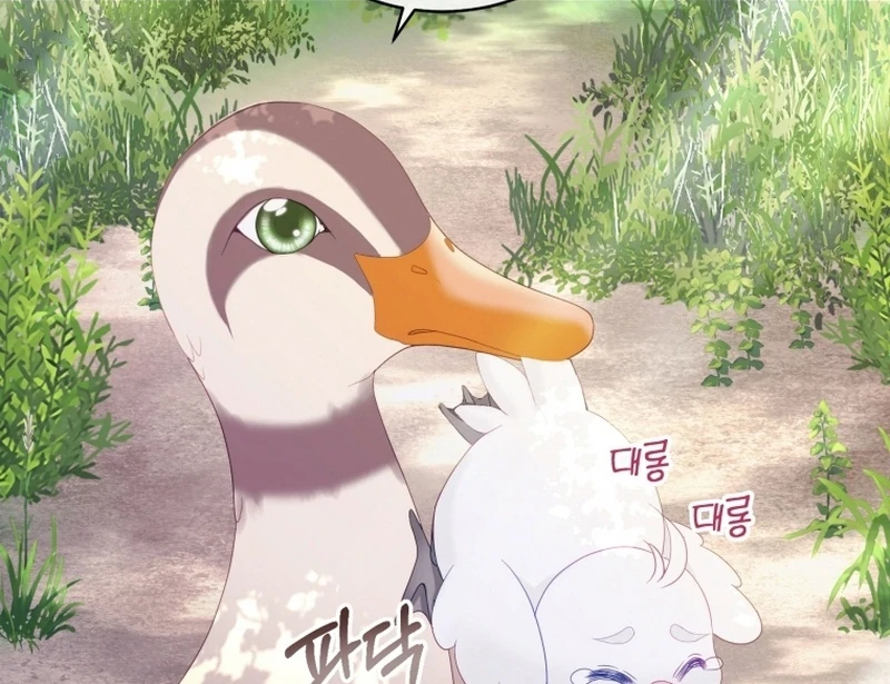 I Became The Black Swan Mother of The White Swan Princess Chapter 12 407 ch 12 28