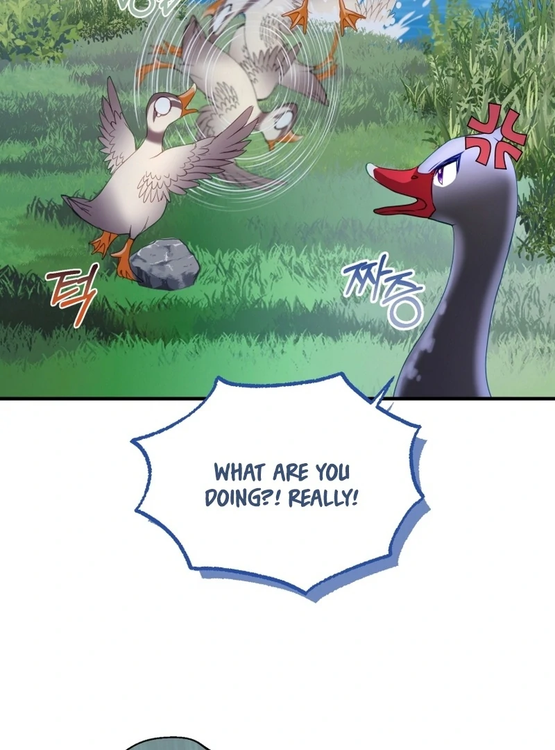 ch 14 102