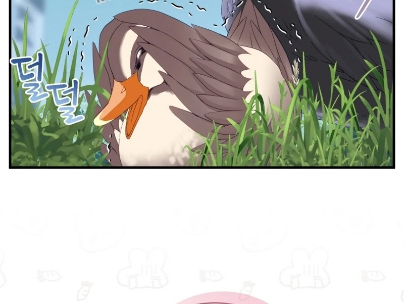 ch 14 104