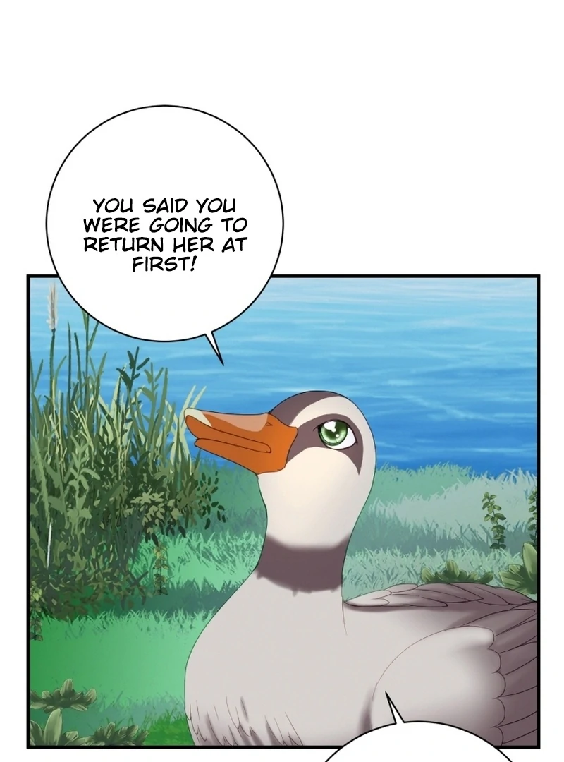 ch 14 112