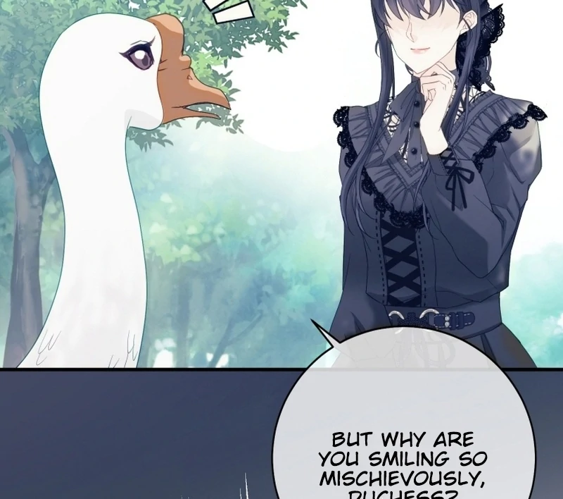ch 14 14