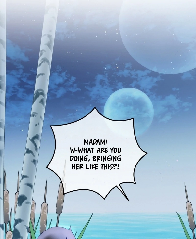 I Became The Black Swan Mother of The White Swan Princess Chapter 14 462 ch 14 86