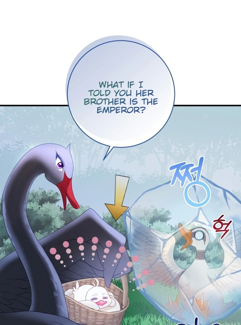 ch 14 99