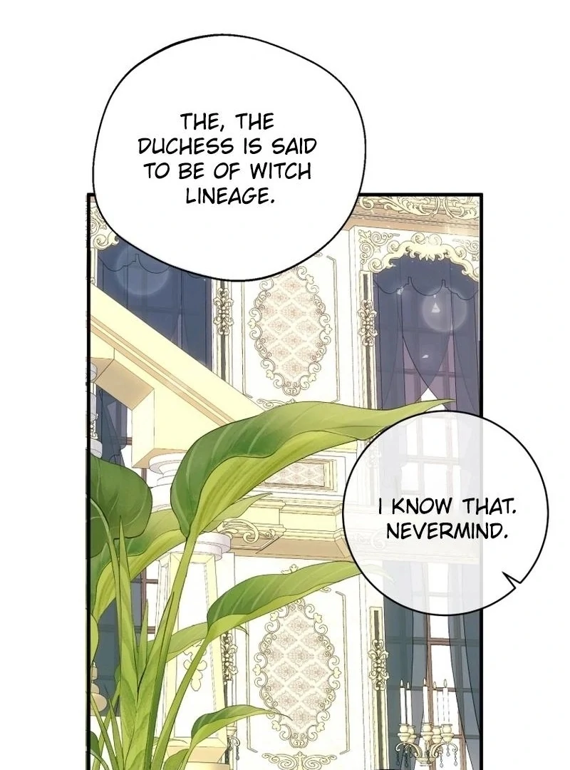 I Became The Black Swan Mother of The White Swan Princess Chapter 15 375 ch 15 14