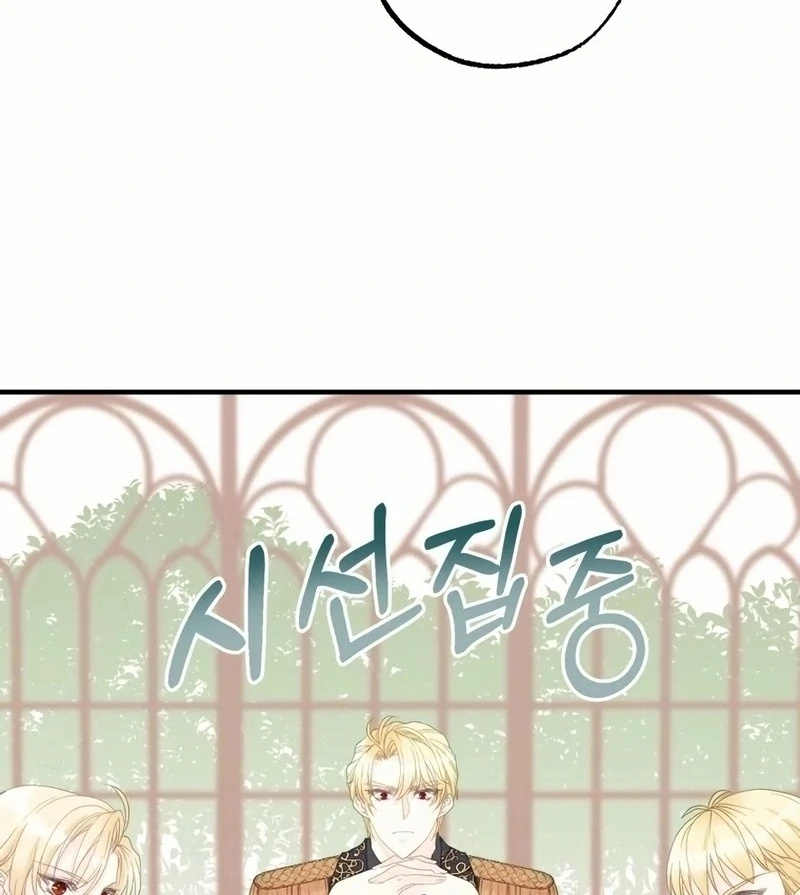 I Became The Black Swan Mother of The White Swan Princess Chapter 17 383 ch 17 10