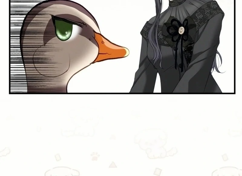 ch 18 16