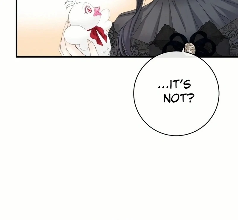 I Became The Black Swan Mother of The White Swan Princess Chapter 18 389 ch 18 28