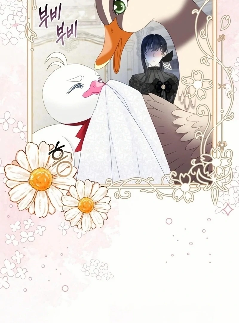 I Became The Black Swan Mother of The White Swan Princess Chapter 18 392 ch 18 31