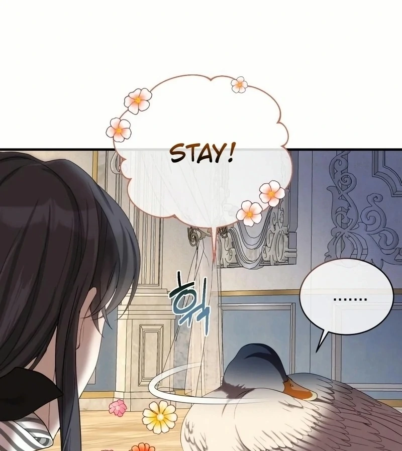 ch 18 42