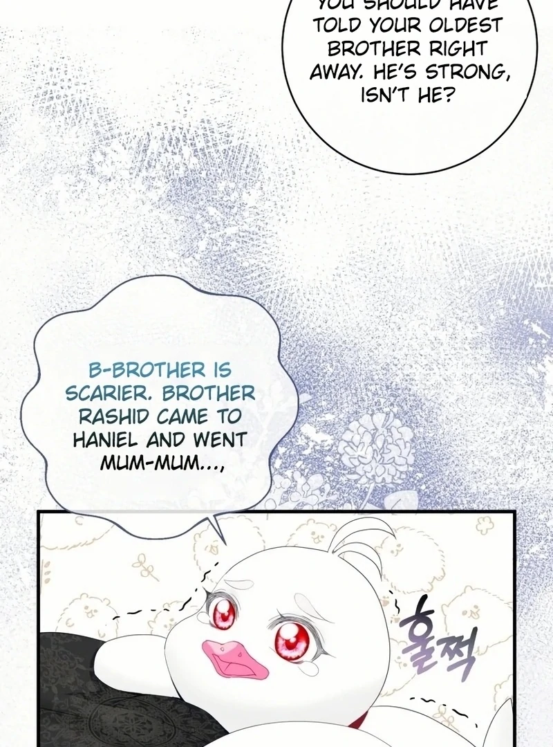 ch 18 61