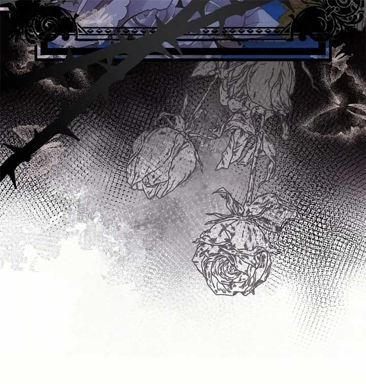 ch 19 17