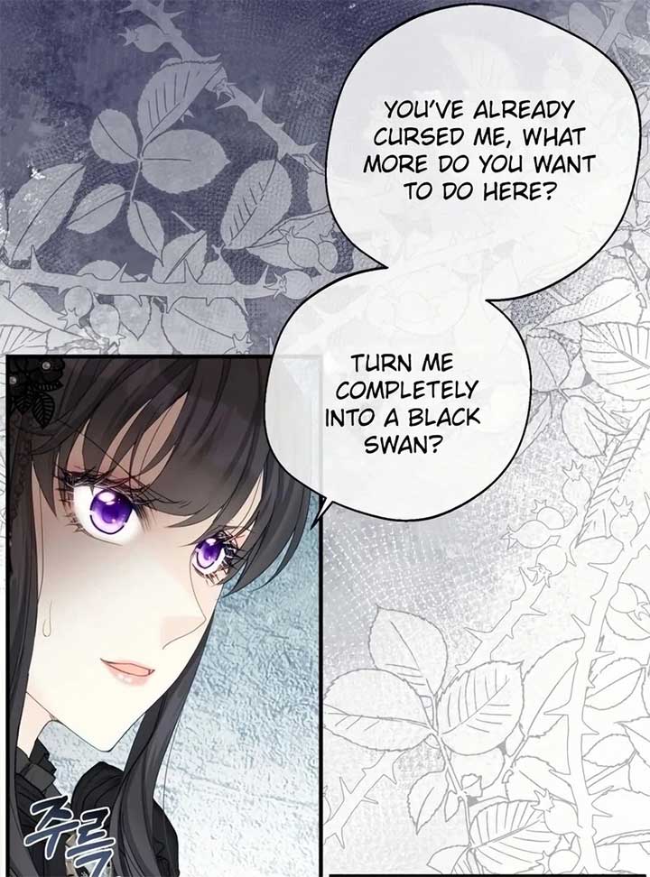 ch 19 24