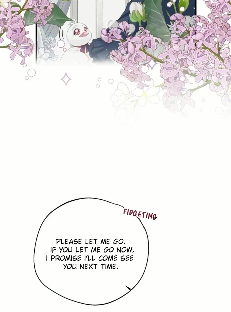 ch 20 37