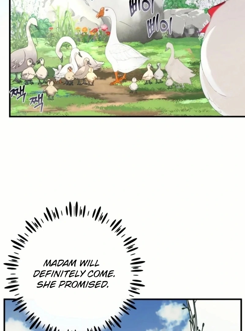 ch 20 48