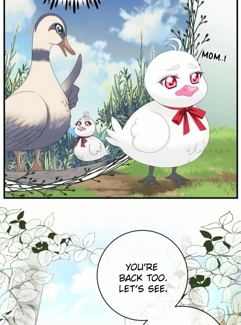 ch 20 49