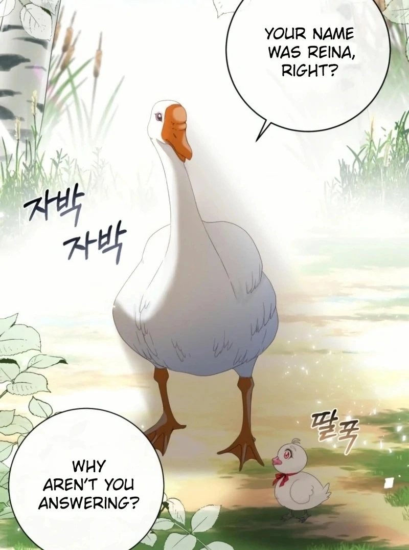ch 20 50