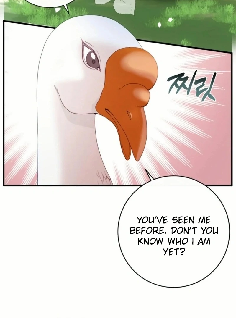 ch 20 51