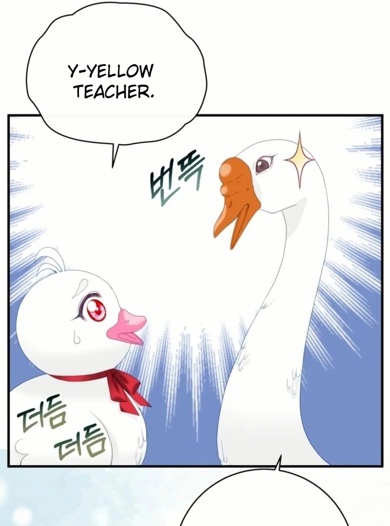 ch 20 52