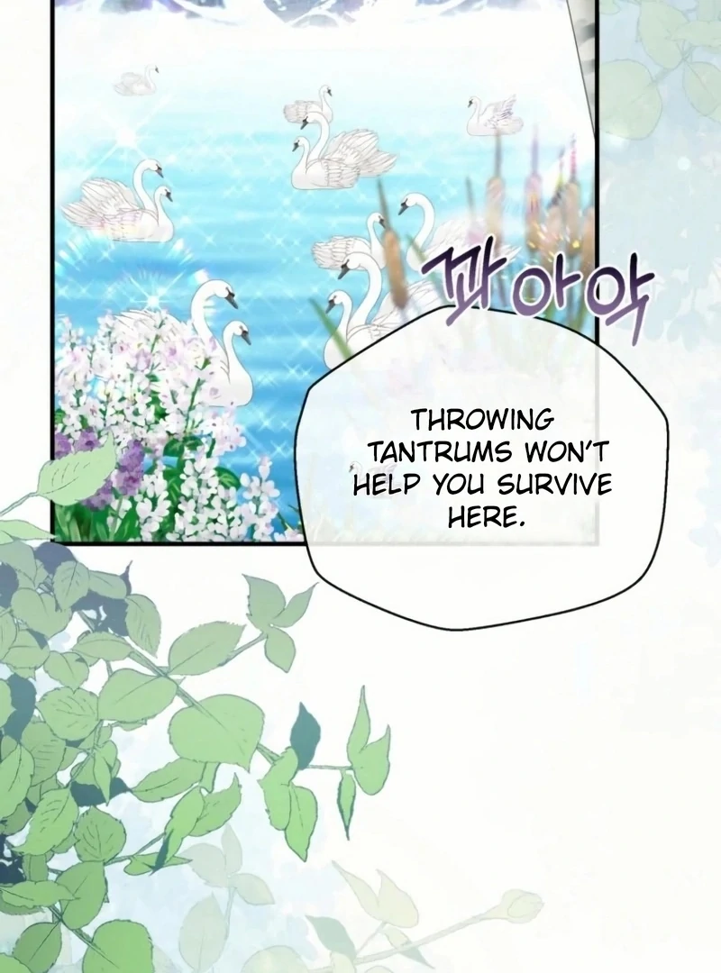 ch 20 54