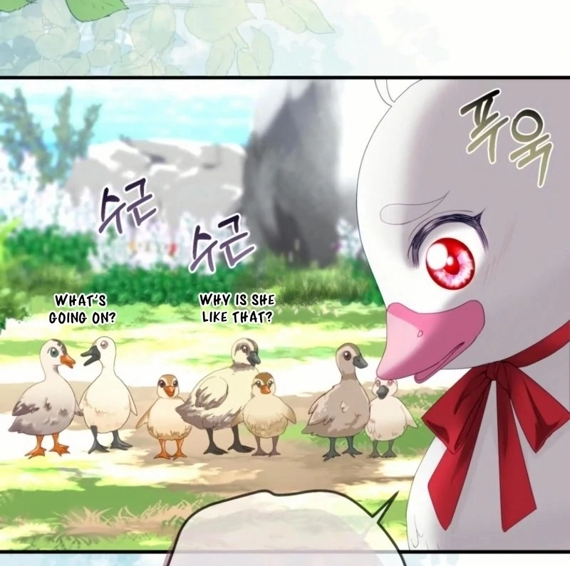 ch 20 55