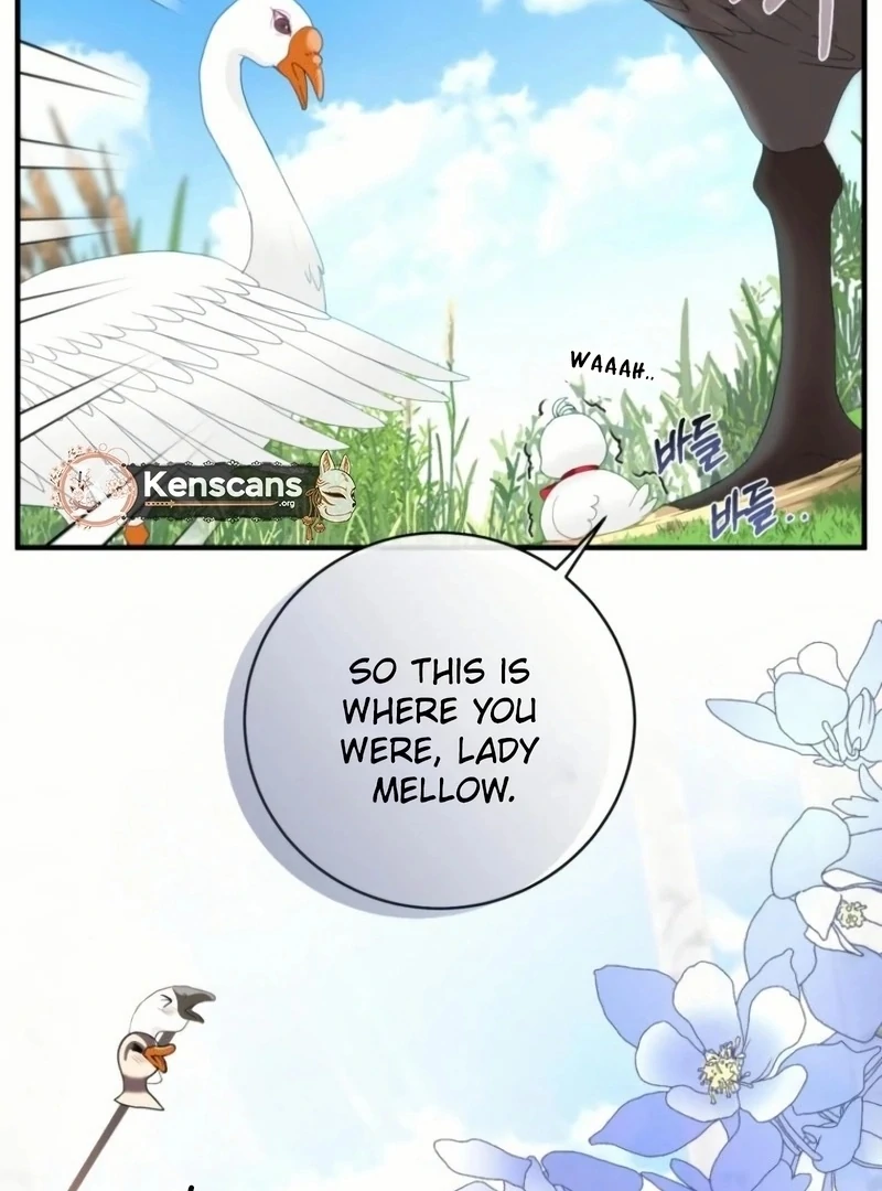 ch 20 58
