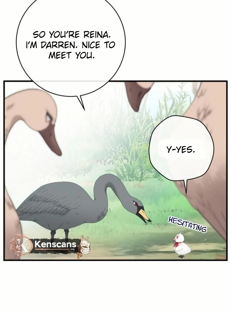 ch 20 66