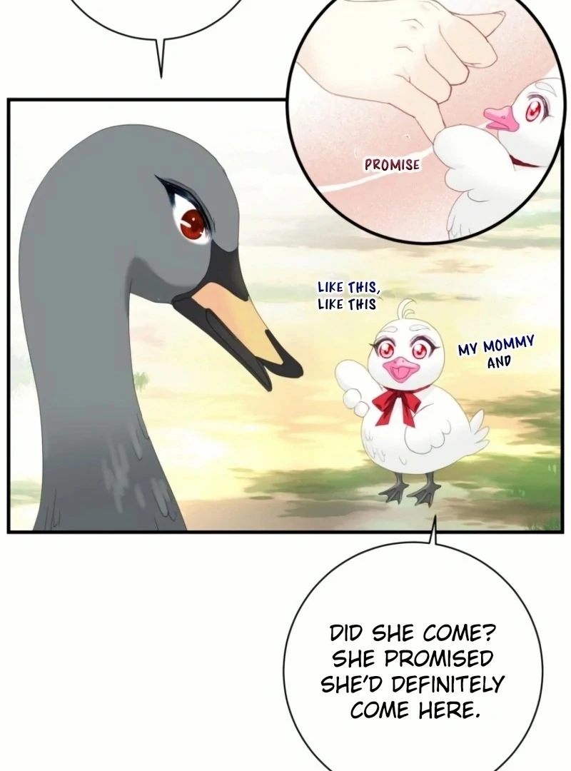 ch 20 71
