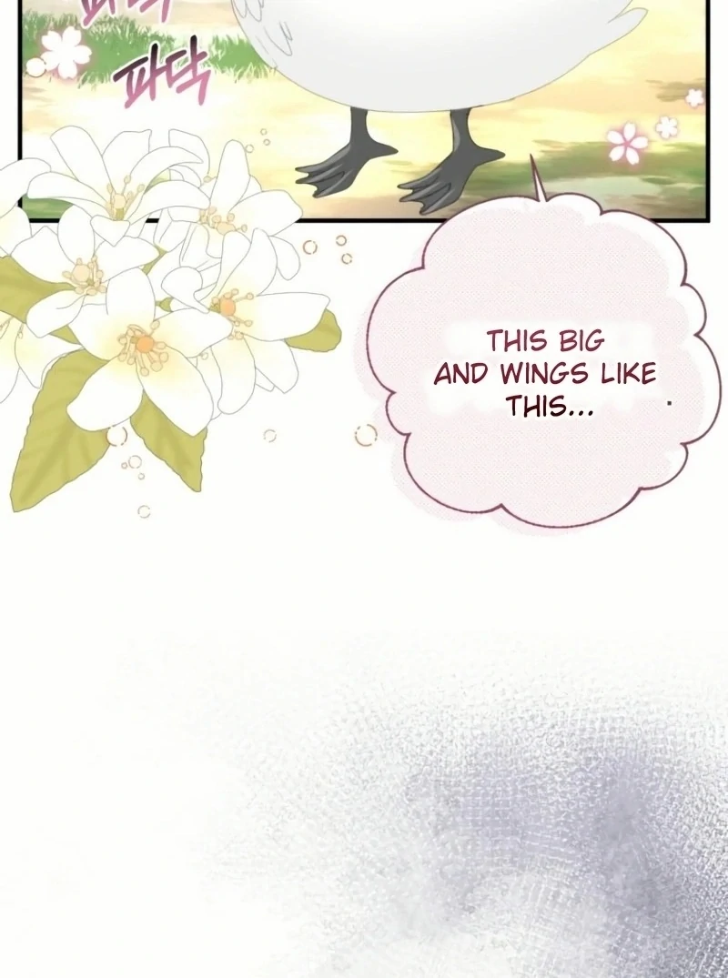 ch 20 73
