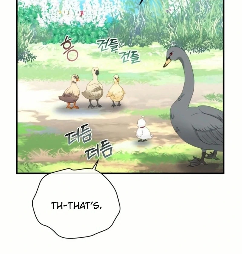 ch 20 79