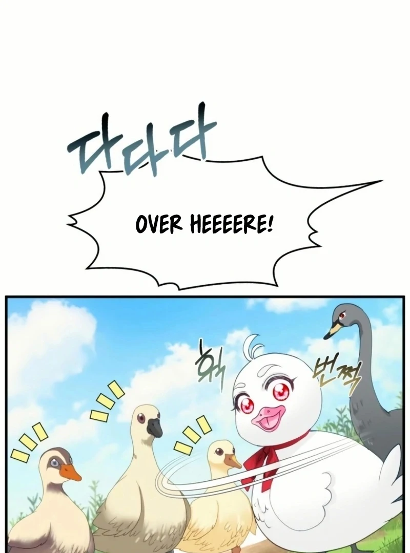 ch 20 80
