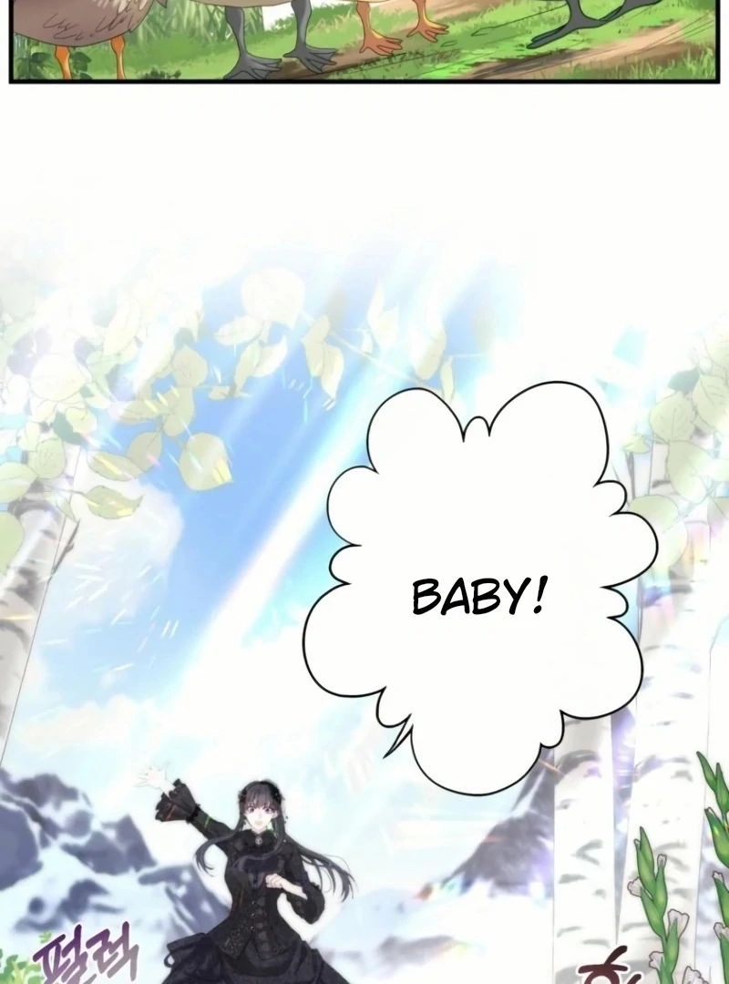 ch 20 81