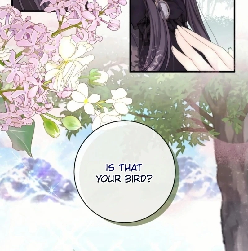 ch 21 29