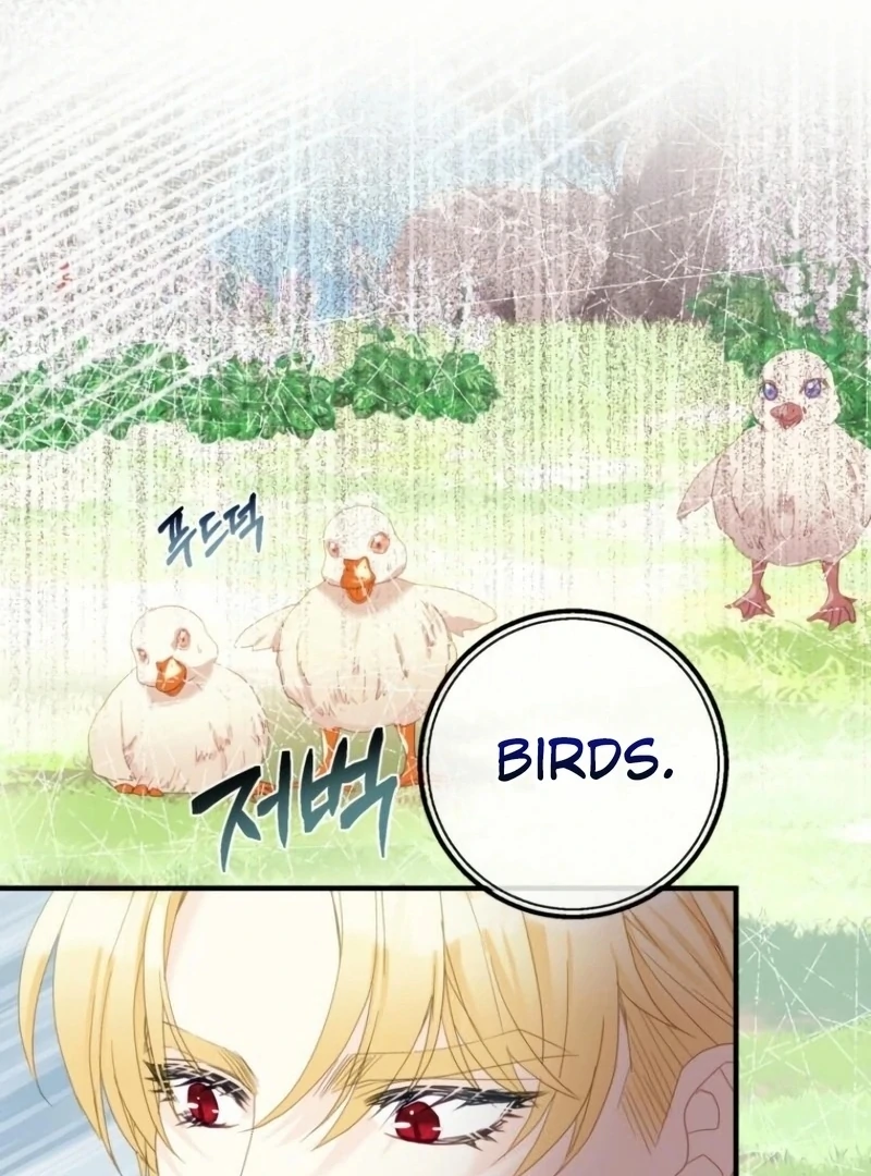 ch 21 44