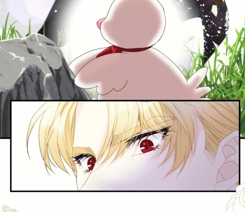 ch 21 48