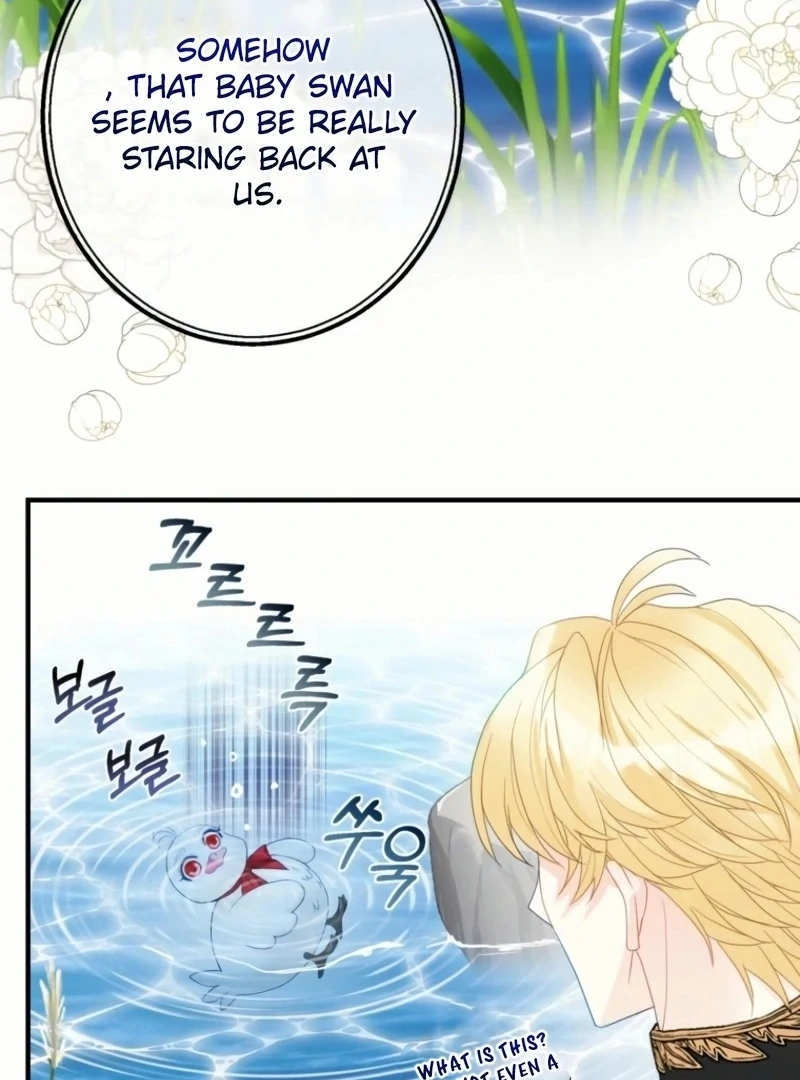 ch 21 50