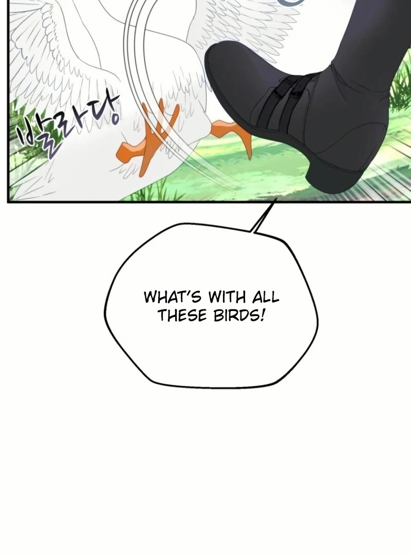 ch 21 90