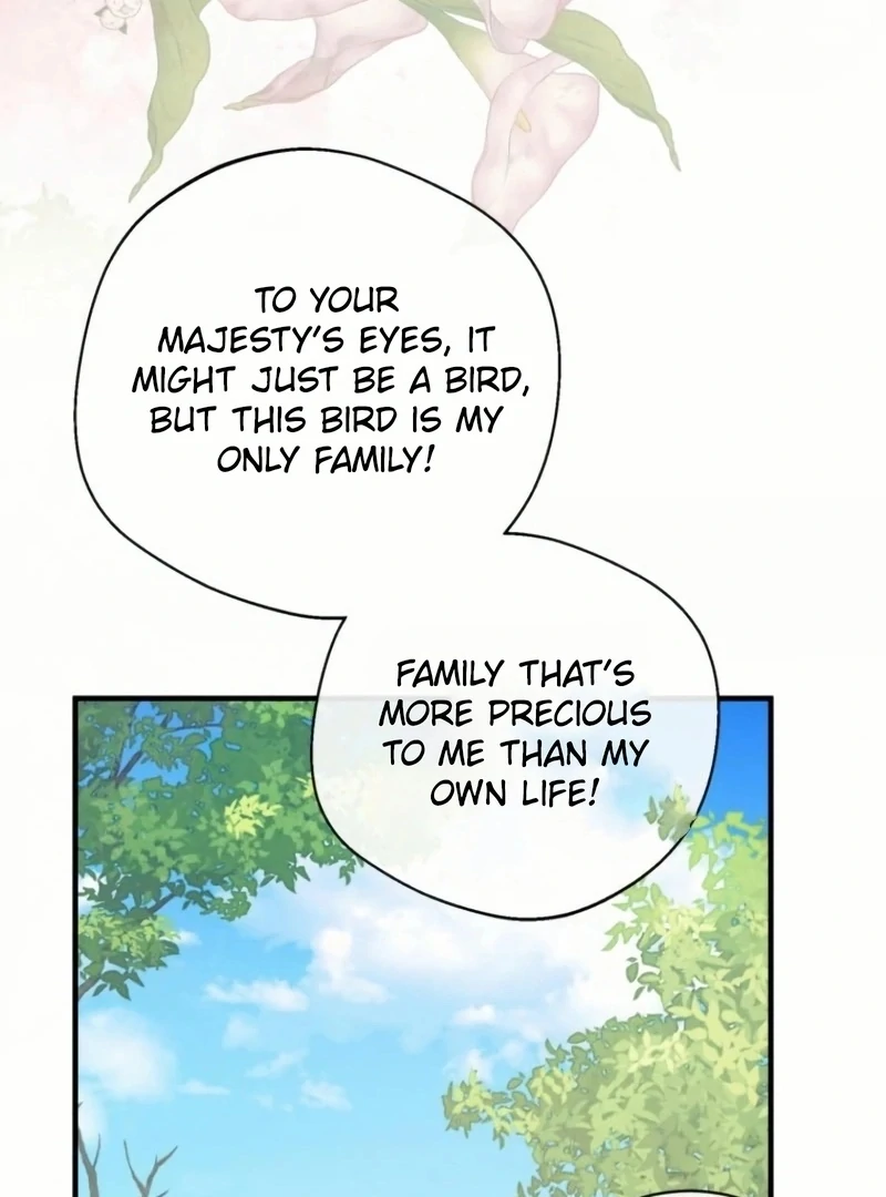 ch 21 95