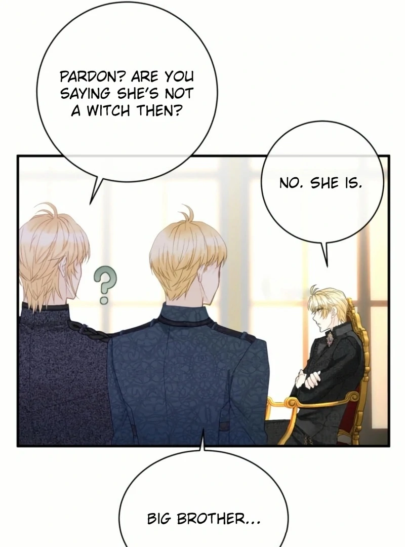ch 24 13