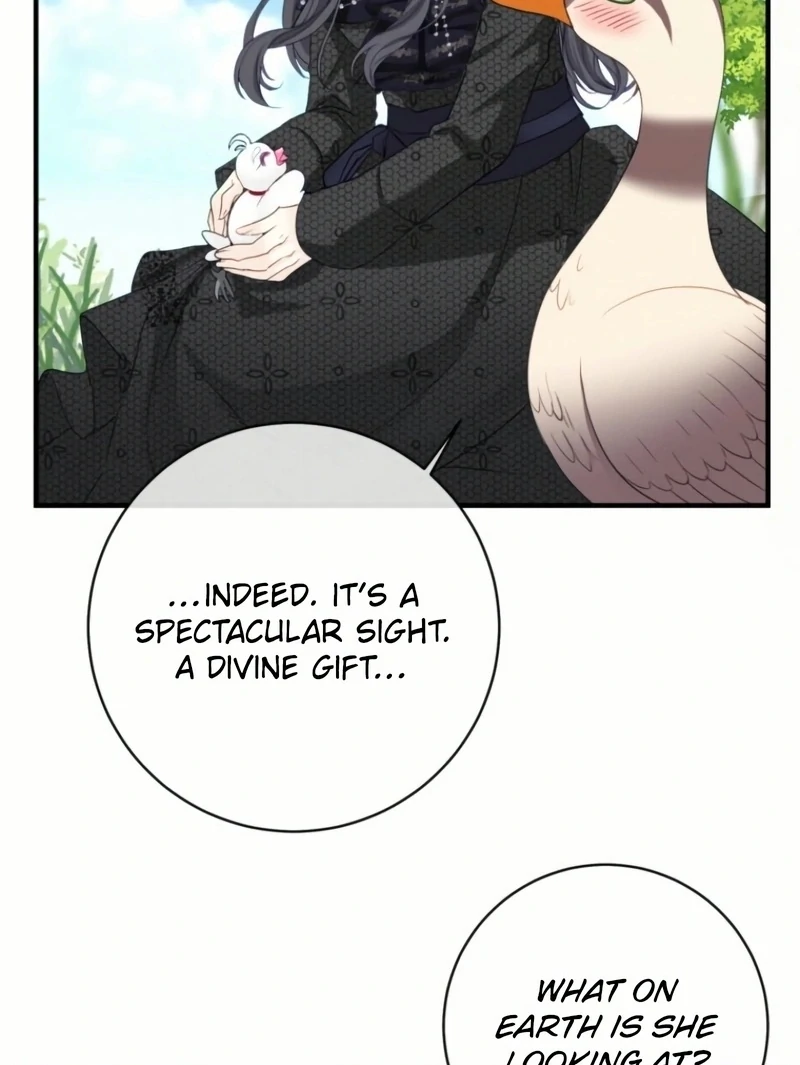 ch 24 74