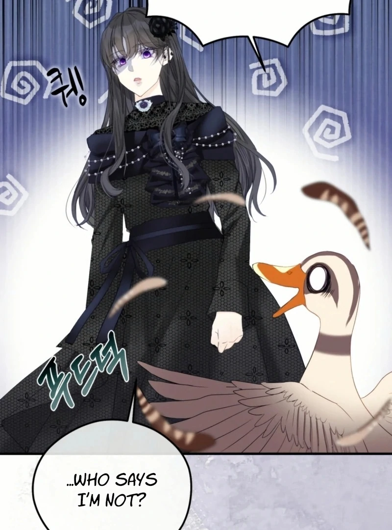 ch 24 89