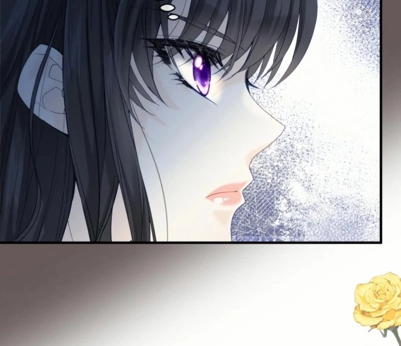 ch 24 97
