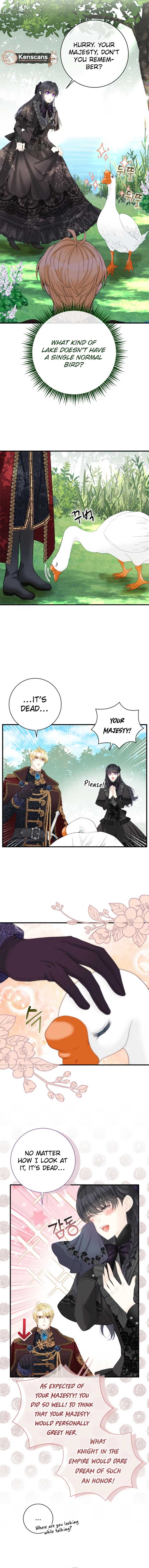 ch 28 6