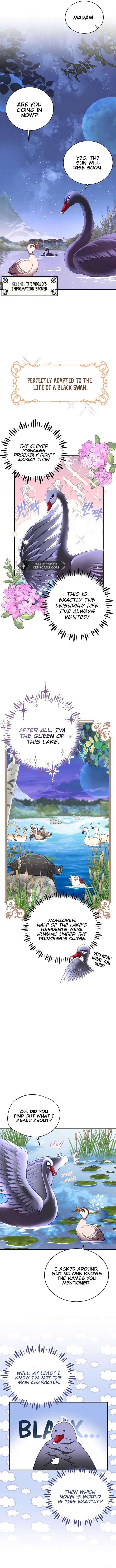 ch 3 7